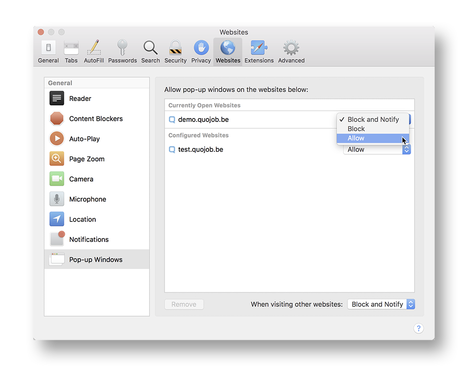 Safari-Settings